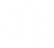 acttivites icon 